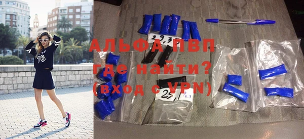 МДПВ Бородино