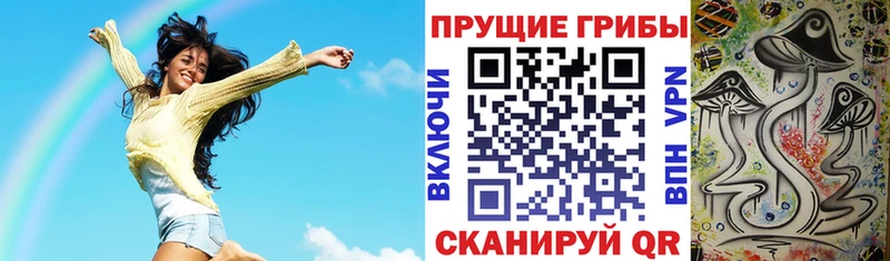 где продают   mega зеркало  Псилоцибиновые грибы GOLDEN TEACHER  Можайск 
