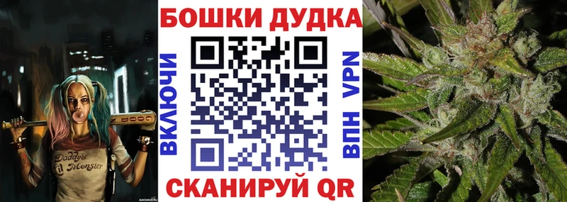 кракен   где можно купить   Можайск  Канабис VHQ 